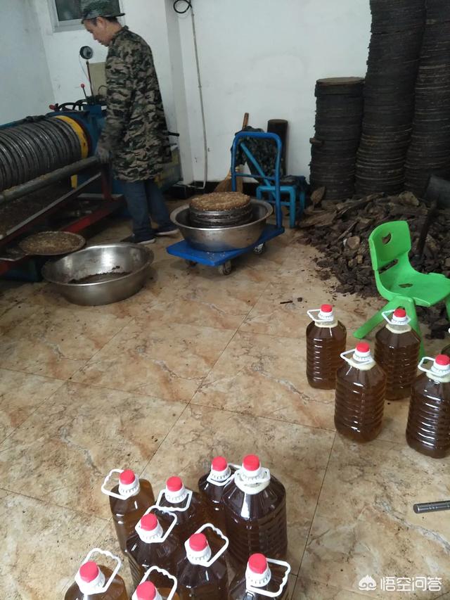 宝宝湿疹可以涂茶油吗？