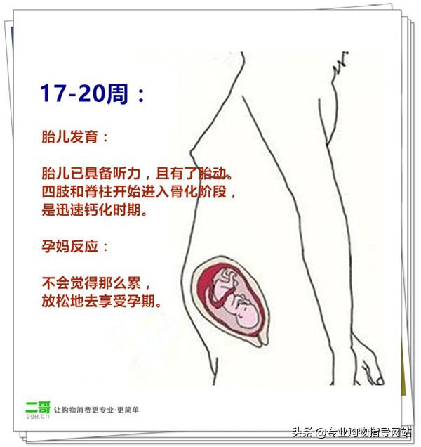胎儿刚刚稳定 怀孕中期一定要补足这些才算真正安全