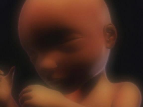 宝宝淘不淘气在孕妈肚子里就能知道