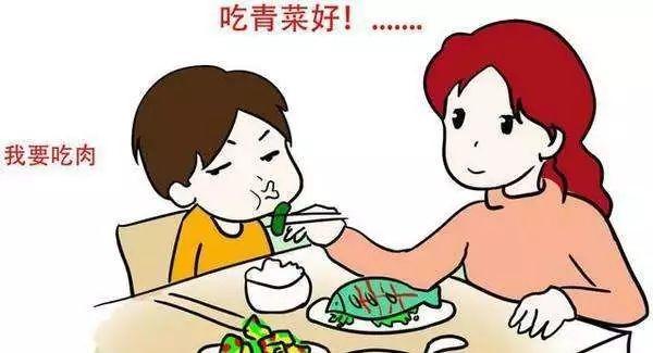 推广丨「粉丝福利大放送」做科普这么久，不如来看看美国STEM课程吧