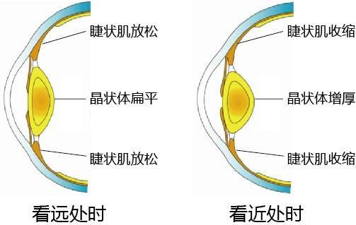 做好这两点 孩子寒假视力或还能提升