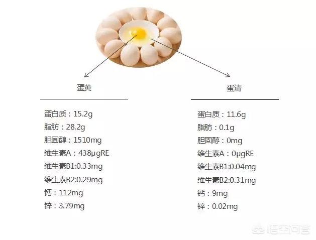 宝宝几岁开始才能吃鸡蛋？