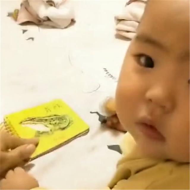 妈妈教宝宝认青蛙，宝宝说了几个字，爷爷奶奶听见后笑岔气了