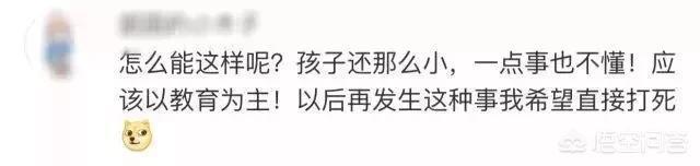 你遇见过什么样的熊孩子？