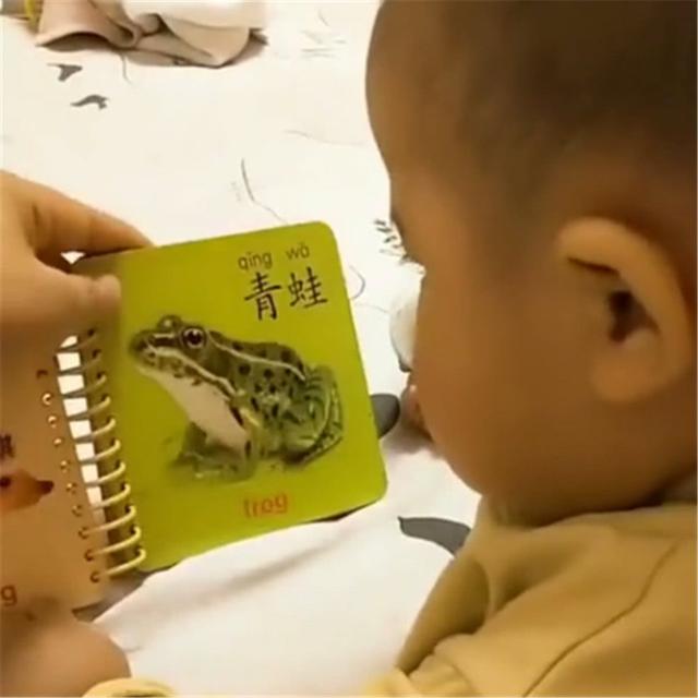 妈妈教宝宝认青蛙，宝宝说了几个字，爷爷奶奶听见后笑岔气了