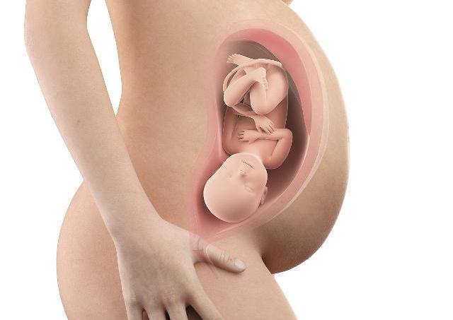 孕36周产检，为什么要求老公陪同？主要是为了确定这两件事！