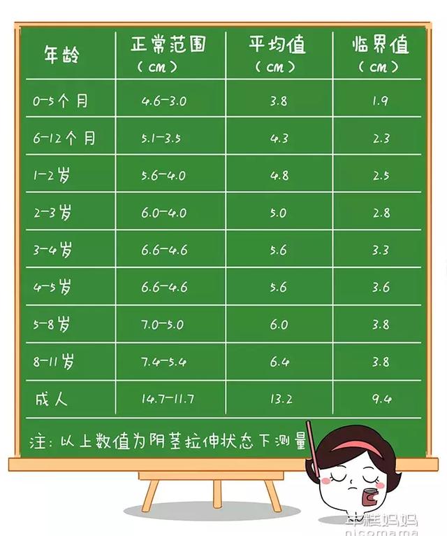 别不信，小鸡鸡的长度也有标准！你家宝宝及格了没？
