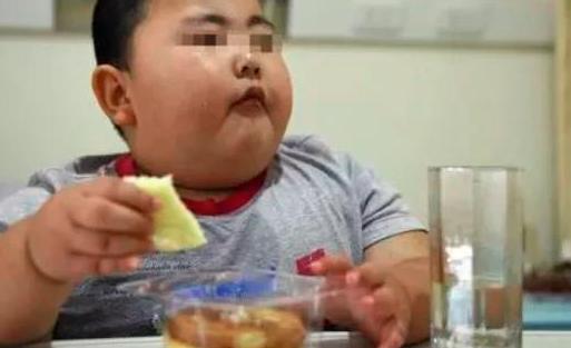 “能吃是福”是假的？3岁男童因太能吃，被幼儿园劝退！