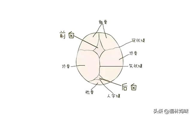 宝宝头顶的“囟门”有多重要？为什么有的宝宝能看到，有的却不能
