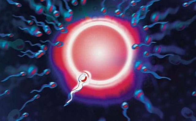 备孕怀孕丨便宜的叶酸和贵的叶酸效果有区别吗？