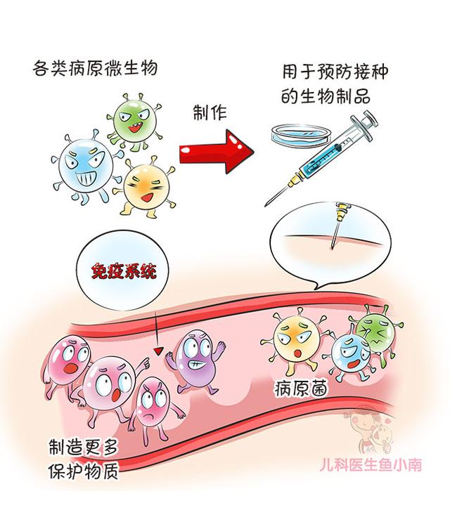 宝宝二类疫苗打不打？打哪些？爸妈最关心的问题，都在这里