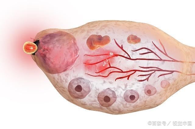 排卵试纸测到强阳，多久后是最佳受孕时机？希望你没有错过！