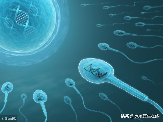 造人需知：两个精子能同时进入一颗卵子吗？如何科学备孕？