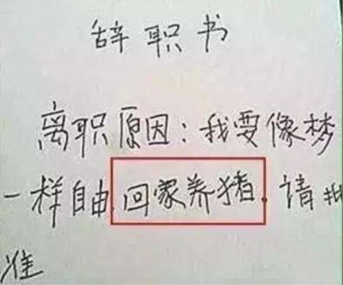 在网上看见一员工辞职信，内容让人笑出眼泪，字却令人不得不称赞