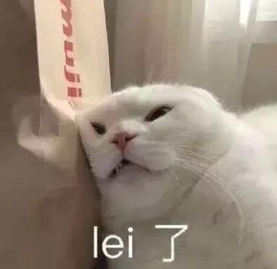 求你们别再刷《啥是佩奇》了,寒假适合孩子看的动画片不止“佩奇”哟