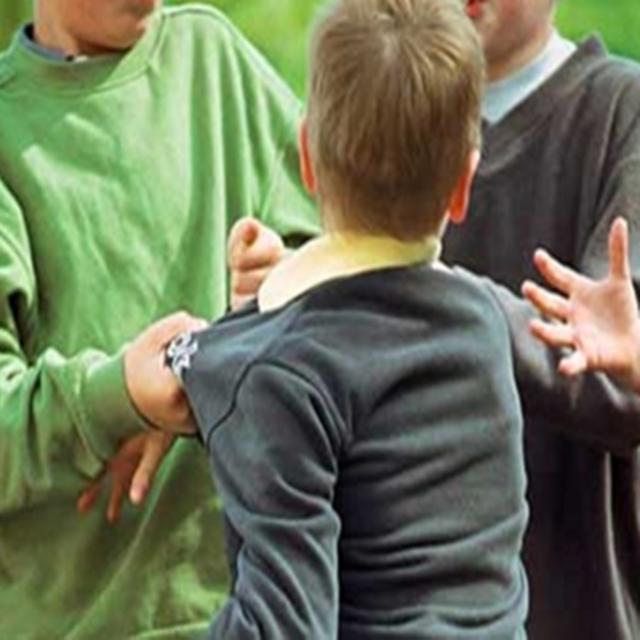 格格：孩子老实听话，在幼儿园经常受欺负，该怎么办？过来人分享