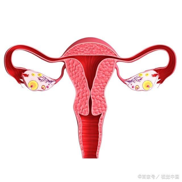 辟谣：生男孩的说法那么多，其实这3种都不靠谱，你信了吗？