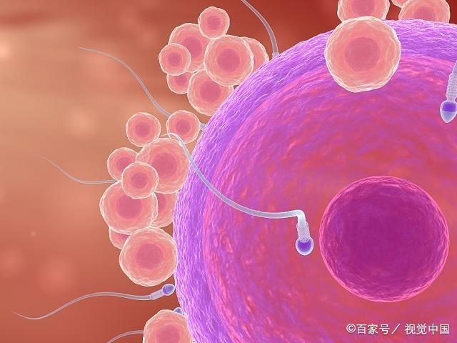 男人生育力的强弱，可能和3个因素有关，备孕前不妨自测一下！