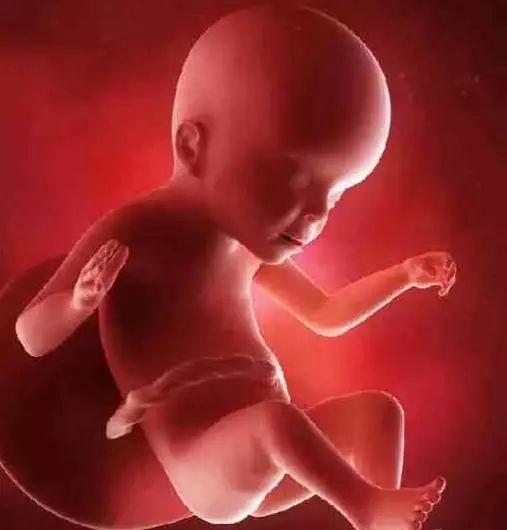 胎儿长得最快是什么月份？吃得好宝宝就能长得好吗