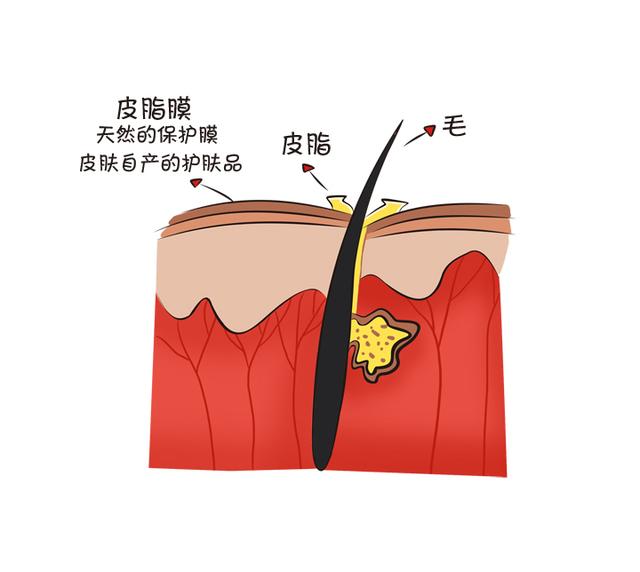 天一冷宝宝皮肤就变“树皮”？爸妈做到这些，宝宝美美过冬天