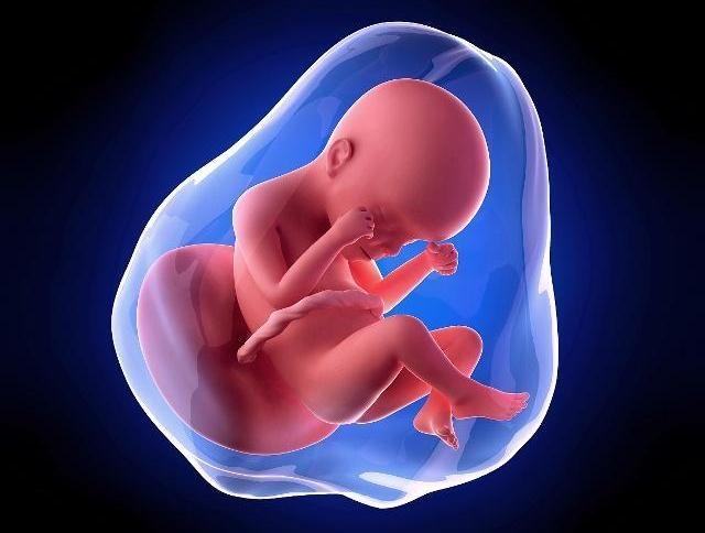 生完孩子后，胎儿和羊水会带走多少重量？看完后你就知道了！