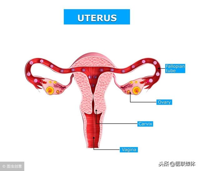 女人子宫有异常，身体会“流露”4个表现，一眼能看出来