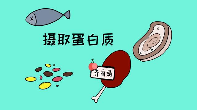 孕期3个时间段的饮食搭配，记住这些事项做一个合格的准妈妈