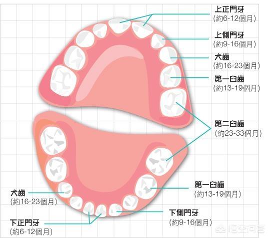 宝宝一直在吃维生素D，为什么还缺钙？肋骨外翻，七个月还没长牙，是怎么回事？