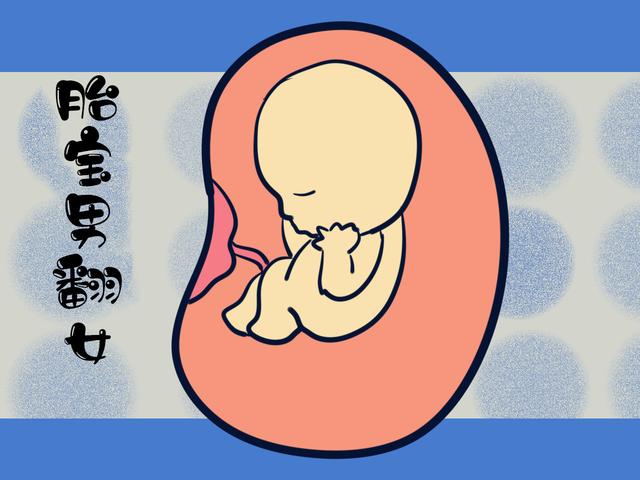 孕期肚脐的凹和凸有什么区别？无关男女，是这几种原因导致！