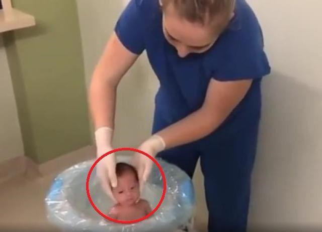 新生儿初次下水，完全是一副“大将风范”，网友高呼：真是萌化了