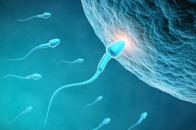 所谓的男翻女、女翻男，都是孕妈自己骗自己，这几种原因是关键！