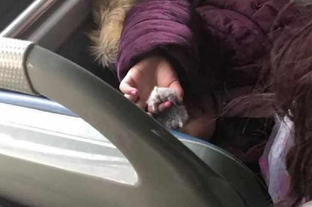 女童在公交车上的这一行为，吓坏不少乘客，网友：孩子被教毁了
