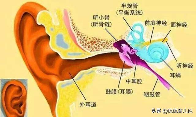 婴幼儿耳道易感染？原是咽鼓管搞的鬼！get这3点，宝宝少受罪