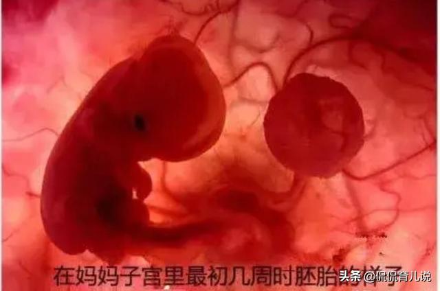 你见过宝宝在妈妈肚子里的样子吗？宝爸：看得我心都化了！好神奇