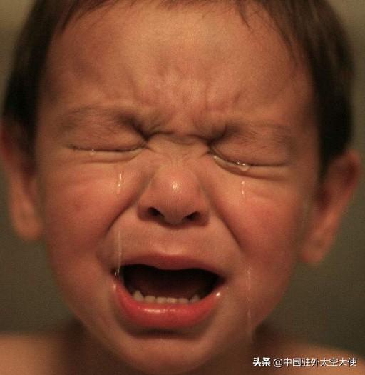 你做过最后悔的事是什么？网友们上万过来人的教训，很真实