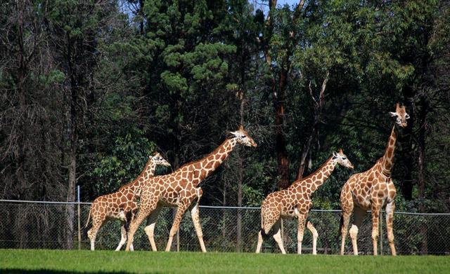 十岁以前经常带孩子去这6个地方，长大后孩子的视野和知识面更广