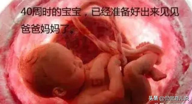 你见过宝宝在妈妈肚子里的样子吗？宝爸：看得我心都化了！好神奇
