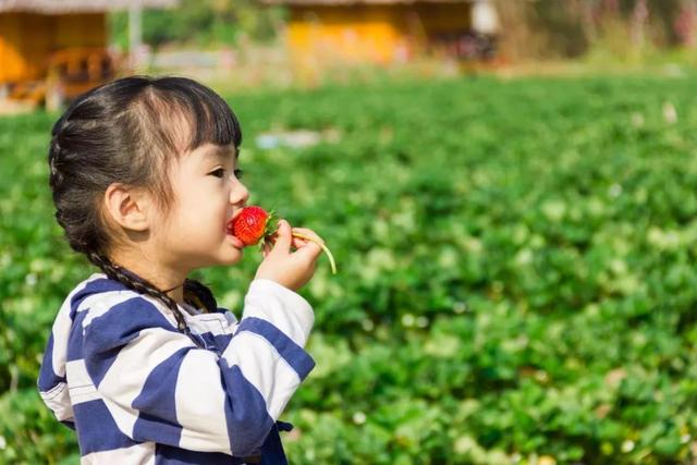 “我给孩子买了40块一斤的草莓”妈妈的这个小决定影响孩子一生