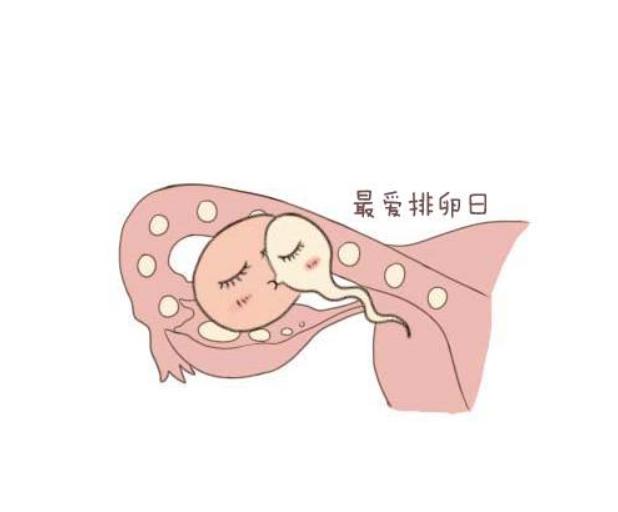 月经过去多久后，女人一碰就有孕？记好这个时间别错过了！