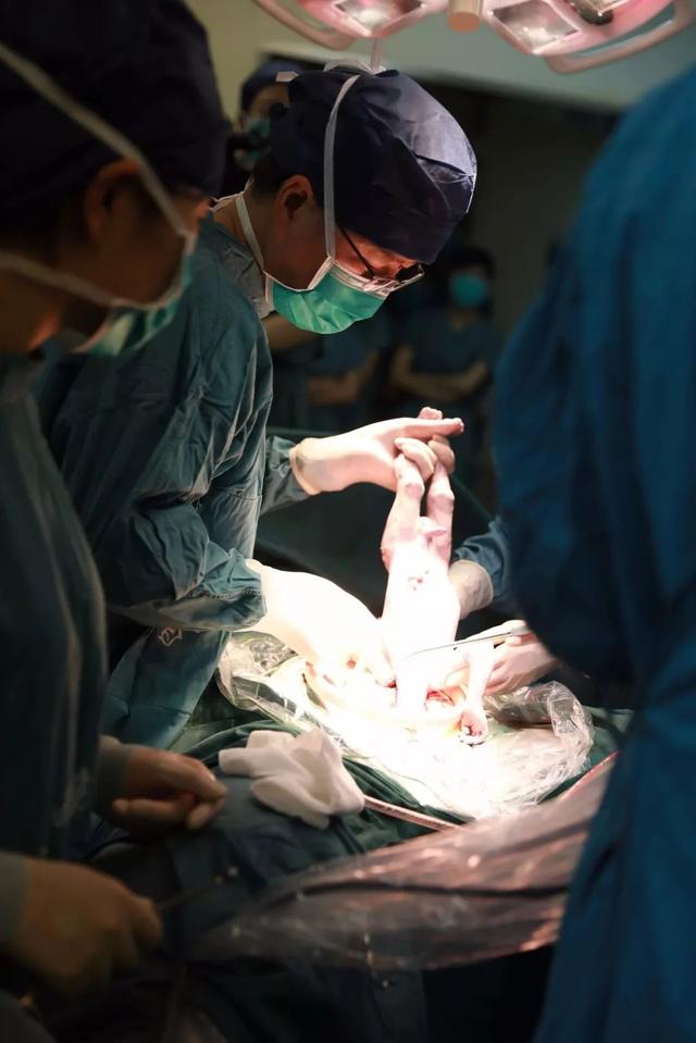 女儿移植妈妈的子宫，诞下国内首个“添宫宝宝”！丨今日热词打卡