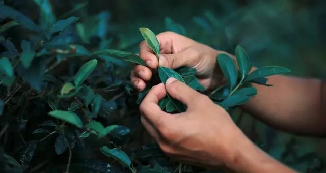 给孩子推拿时，应该抹点什么介质好呢？薄荷水？麻油？
