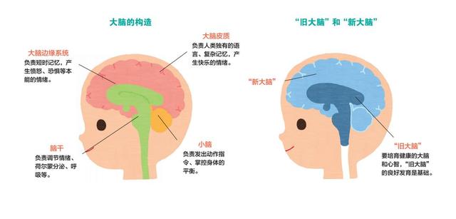 人生最重要的0-4岁：别让你在孩子身上偷的懒，变成最深的遗憾