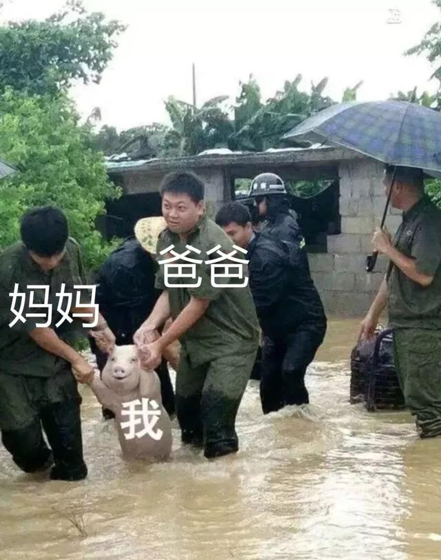 5岁儿子年终总结曝光,哈哈哈哈哈你家孩子也这样吗?