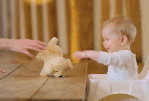 BBC宝宝纪录片颠覆三观，2岁娃内心戏精彩堪比宫斗剧