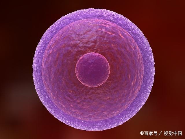 受精卵着床有感觉吗？排卵日7天后，希望你会出现这3个感觉！