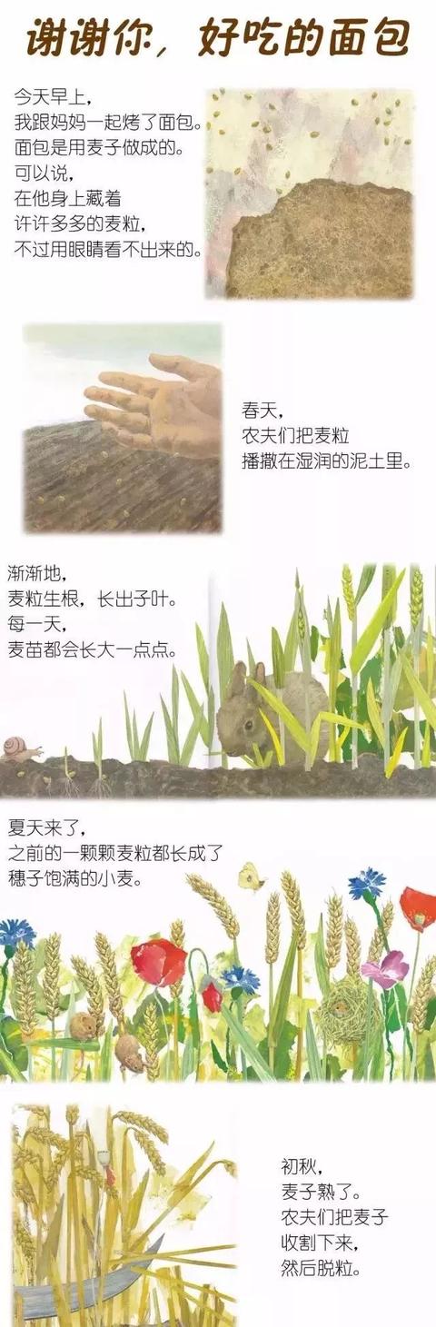 「中文有声绘本」《谢谢你,好吃的面包》