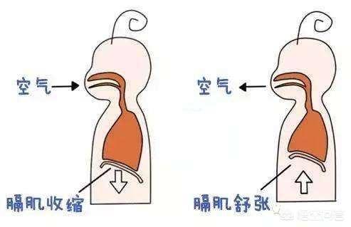 新生儿打嗝如何处理？