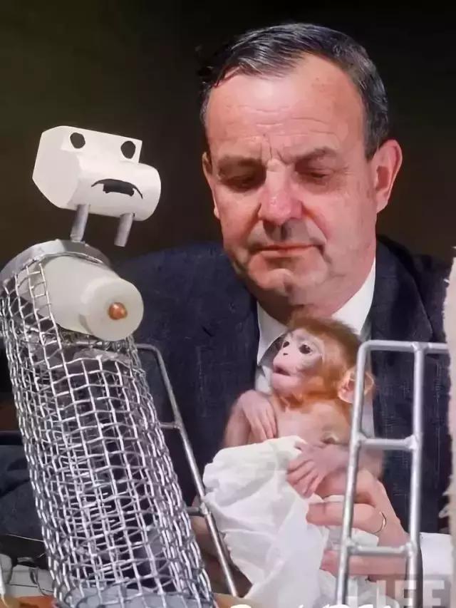 每天睡前和孩子说这2句话，孩子会一天比一天优秀！