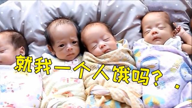 宝爸去看宝宝醒了没，打开门这画面，网友，5胞胎家里怕是有金矿