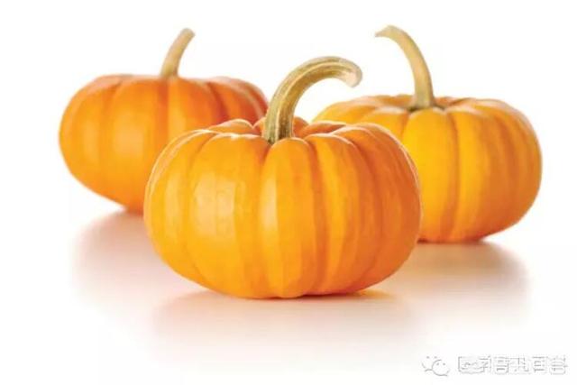 宝宝吃辅食的时候添加哪些食物会比较好？